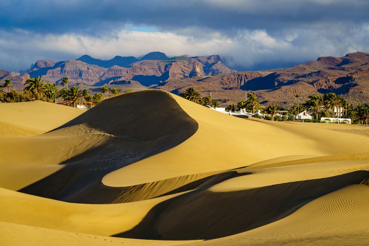 Isole canarie