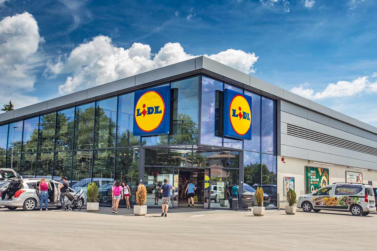 piante della settimana Lidl