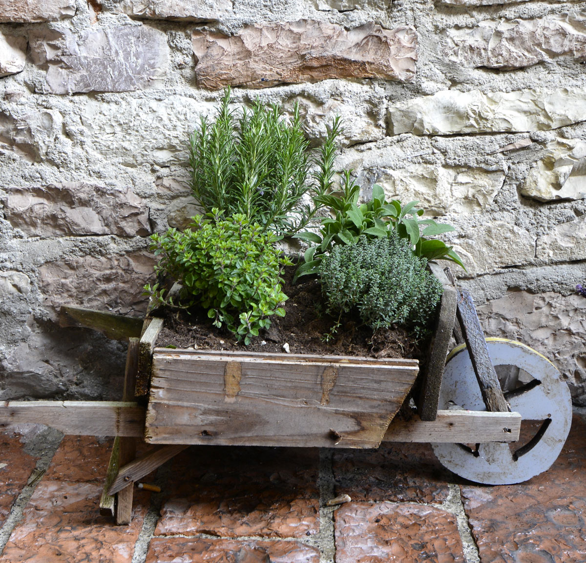 Erbe aromatiche in una piccola carriola di legno.