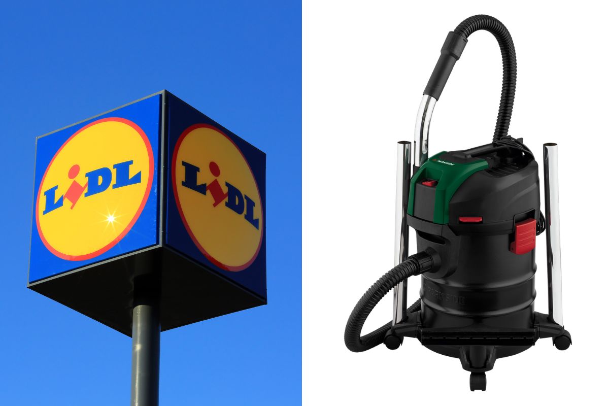 Lidl bidone aspiracenere