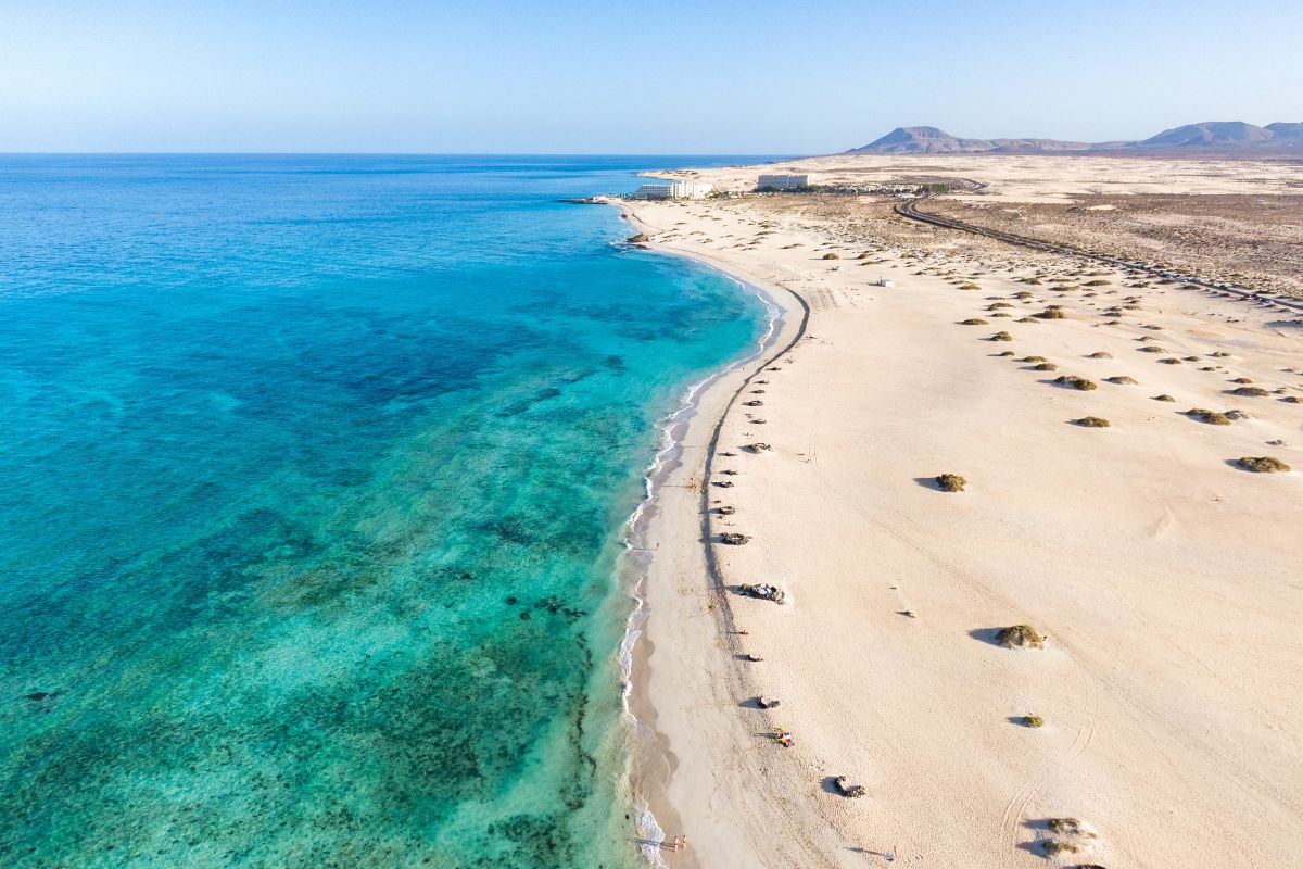 Canarie nel periodo natalizio