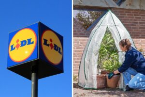 Lidl nuova serra in arrivo