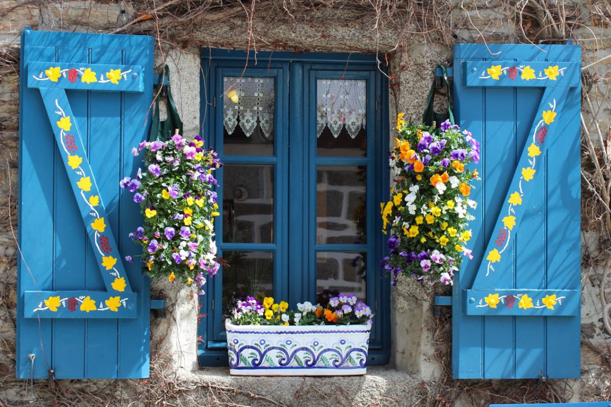 Le migliori piante per il balcone in autunno e in inverno