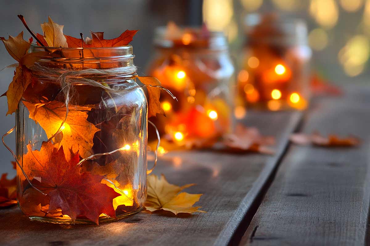 vaso con Led e foglie autunnali