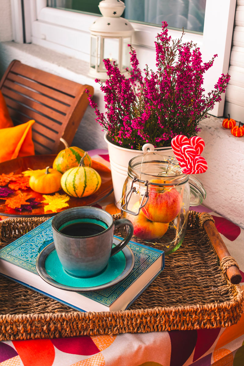 idee di piante per un balcone fiorito anche in autunno