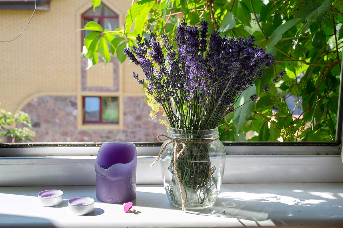 vaso di vetro riciclato con lavanda