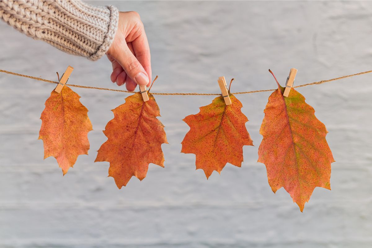 Lavoretti d'autunno con le foglie