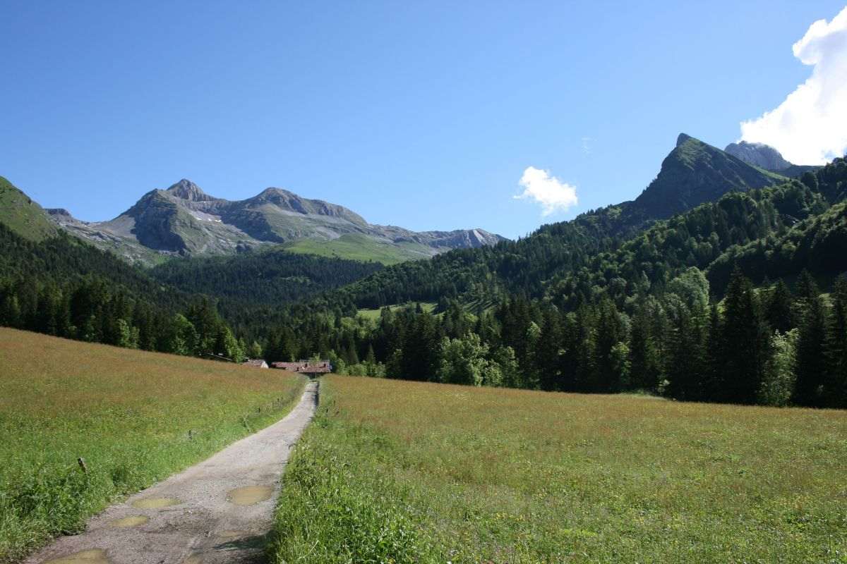 Una passeggiata nella natura